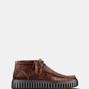 Cur Torhill Hi (M) Brown Snake