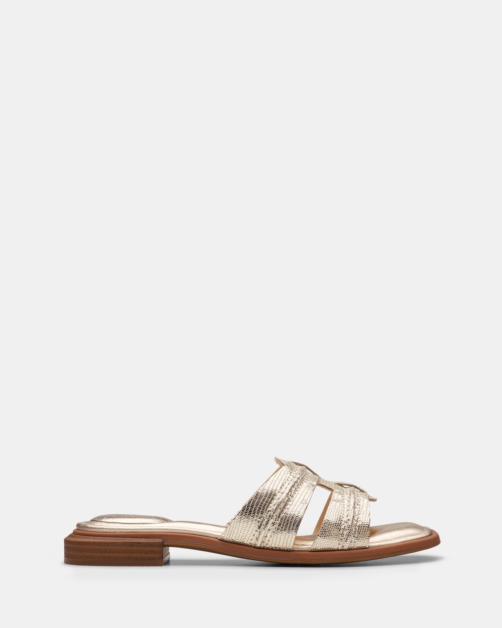 Ariany Mule Champagne Int